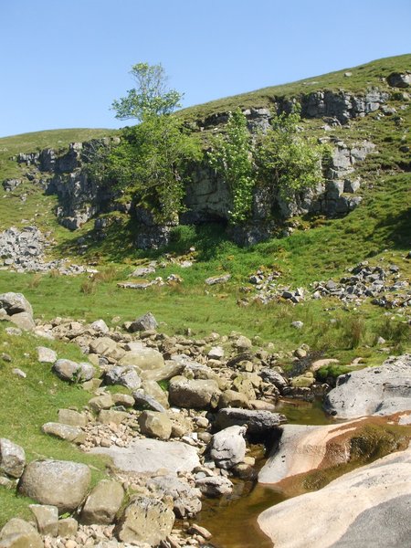 daniel greenwald - DSCF1050