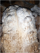 James_BergP8020962adjusted