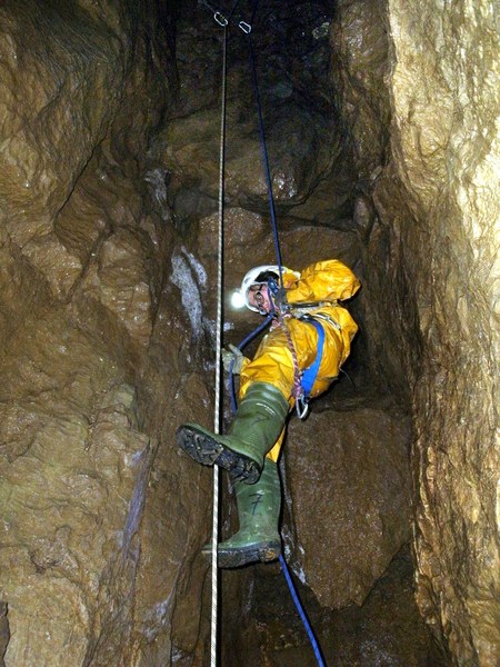 Oxlow - Charis Ang - GEDC0795