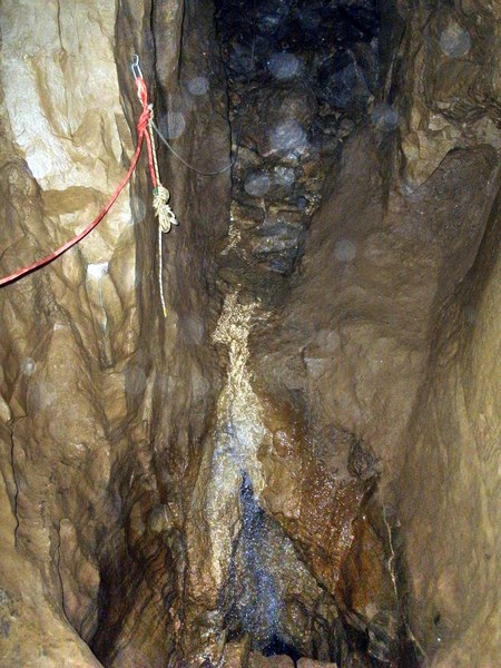 Oxlow - Charis Ang - GEDC0796