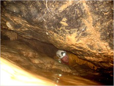 Jarvist Frost - Canon A520 - Swildons Hole - IMG_0121