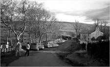 2012-02-19-JarvistFrost-OlympusXA-RolleiRetro100-Rodinal1p50-BullpotFarm04