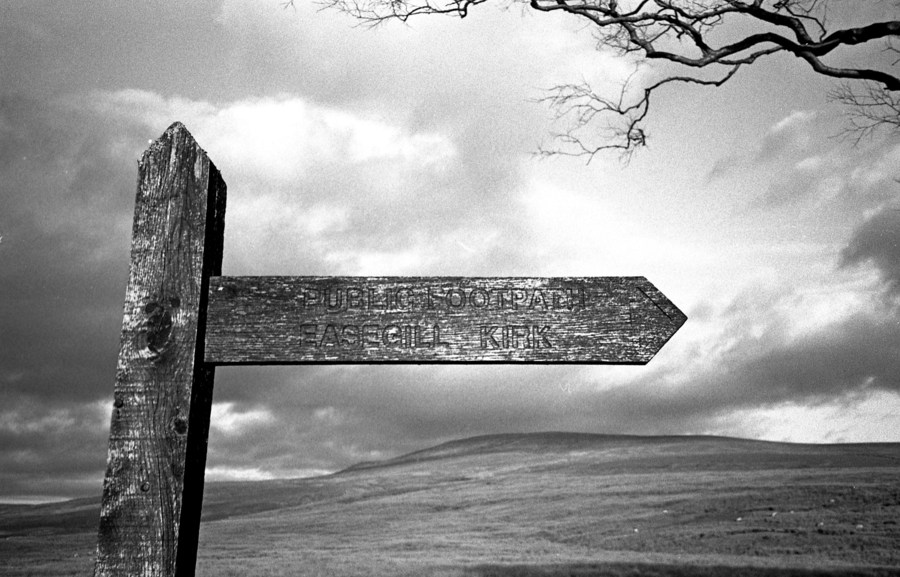 2012-02-19-JarvistFrost-OlympusXA-RolleiRetro100-Rodinal1p50-BullpotFarm08