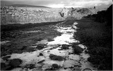 2012-02-19-JarvistFrost-OlympusXA-RolleiRetro100-Rodinal1p50-BullpotFarm10