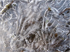 kate smith-canon s95-IMG_0482