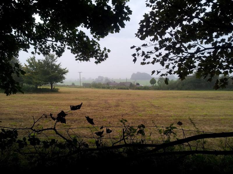 1st day DSC09043 (8)