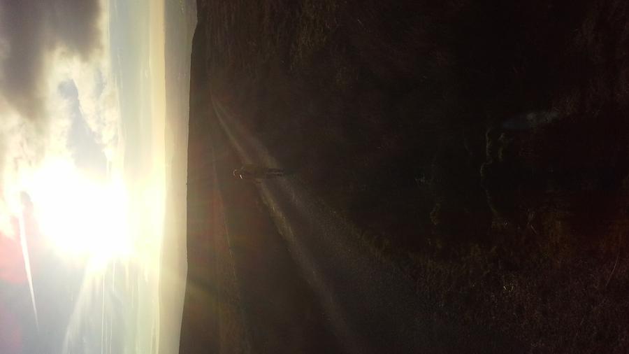 AlietteBoshier_20141130_143651