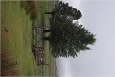 Jarvist Moore Frost -DSC00950