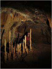 jack_wales_I_2015 (22)