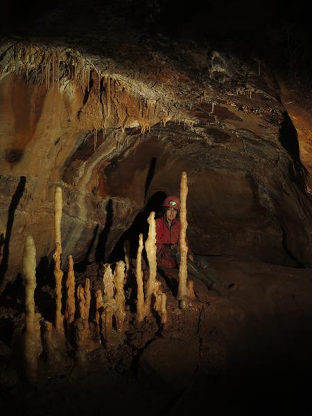 jack_wales_I_2015 (22)