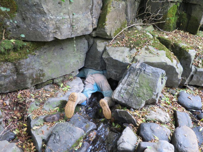 jack_wales_I_2015 (25)