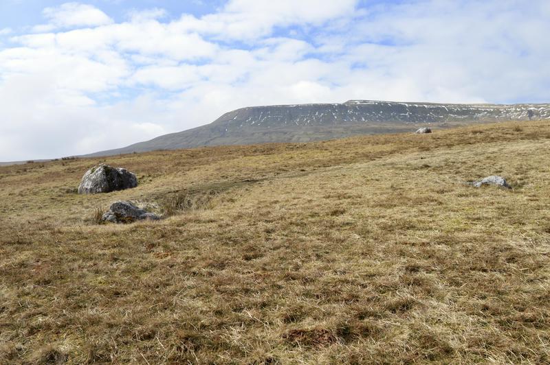 TanguyRacine-DSC_0494