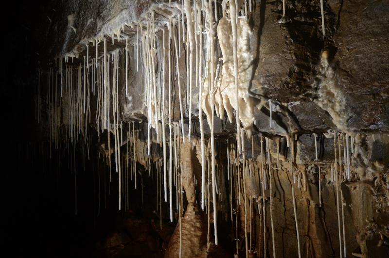 TanguyRacine-DSC_0793