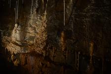 TanguyRacine-DSC_0798