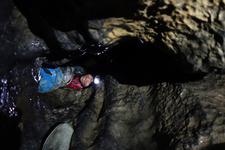 2016-09-24_11h25m-RhysTyers-SonyRX100III-LargePot-DSC03000