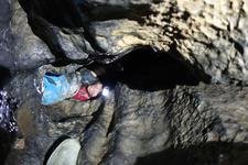 2016-09-24_11h25m-RhysTyers-SonyRX100III-LargePot-DSC03001