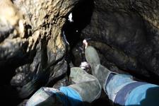 2016-09-24_11h27m-RhysTyers-SonyRX100III-LargePot-DSC03004