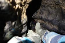 2016-09-24_11h27m-RhysTyers-SonyRX100III-LargePot-DSC03005