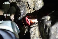 2016-09-24_11h29m-RhysTyers-SonyRX100III-LargePot-DSC03009