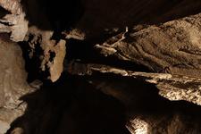 2016-09-24_11h58m-RhysTyers-SonyRX100III-LargePot-DSC03012