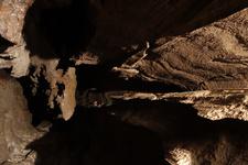 2016-09-24_11h59m-RhysTyers-SonyRX100III-LargePot-DSC03013