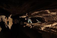 2016-09-24_12h00m-RhysTyers-SonyRX100III-LargePot-DSC03016