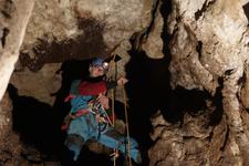 2016-09-24_12h06m-RhysTyers-SonyRX100III-LargePot-DSC03020