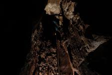 2016-09-24_12h07m-RhysTyers-SonyRX100III-LargePot-DSC03023