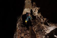 2016-09-24_12h07m-RhysTyers-SonyRX100III-LargePot-DSC03024