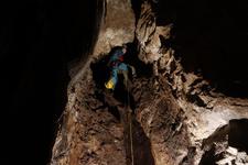 2016-09-24_12h07m-RhysTyers-SonyRX100III-LargePot-DSC03025