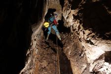 2016-09-24_12h08m-RhysTyers-SonyRX100III-LargePot-DSC03027