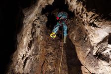 2016-09-24_12h08m-RhysTyers-SonyRX100III-LargePot-DSC03029