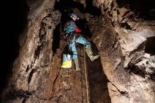 2016-09-24_12h08m-RhysTyers-SonyRX100III-LargePot-DSC03030