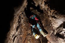 2016-09-24_12h08m-RhysTyers-SonyRX100III-LargePot-DSC03031