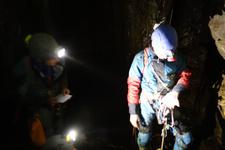 2016-09-24_12h09m-RhysTyers-SonyRX100III-LargePot-DSC03036