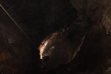 2016-09-24_14h00m-RhysTyers-SonyRX100III-LargePot-DSC03067