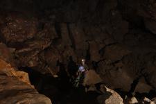 2016-09-24_14h14m-RhysTyers-SonyRX100III-LargePot-DSC03077