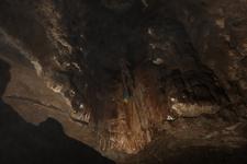 2016-09-24_14h17m-RhysTyers-SonyRX100III-LargePot-DSC03083