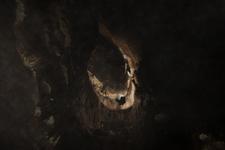 2016-09-24_14h27m-RhysTyers-SonyRX100III-LargePot-DSC03093