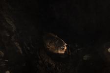 2016-09-24_14h30m-RhysTyers-SonyRX100III-LargePot-DSC03098