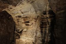 2016-09-24_14h45m-RhysTyers-SonyRX100III-LargePot-DSC03102