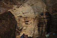 2016-09-24_14h46m-RhysTyers-SonyRX100III-LargePot-DSC03103