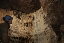 2016-09-24_14h46m-RhysTyers-SonyRX100III-LargePot-DSC03104