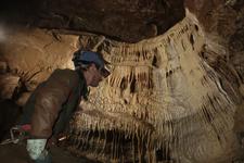 2016-09-24_14h46m-RhysTyers-SonyRX100III-LargePot-DSC03108