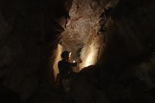 2016-09-24_14h46m-RhysTyers-SonyRX100III-LargePot-DSC03109