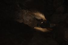 2016-09-24_14h47m-RhysTyers-SonyRX100III-LargePot-DSC03111