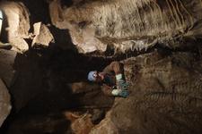 2016-09-24_14h48m-RhysTyers-SonyRX100III-LargePot-DSC03115