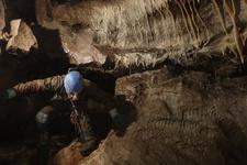 2016-09-24_14h48m-RhysTyers-SonyRX100III-LargePot-DSC03118