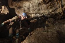 2016-09-24_14h48m-RhysTyers-SonyRX100III-LargePot-DSC03119