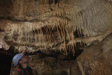 2016-09-24_14h48m-RhysTyers-SonyRX100III-LargePot-DSC03122